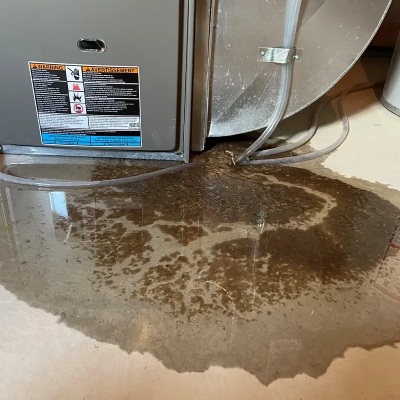 Appliance Leak Cleanup in Avon, NY